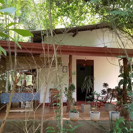 Thilina Homestay Sigiriya Camera foto
