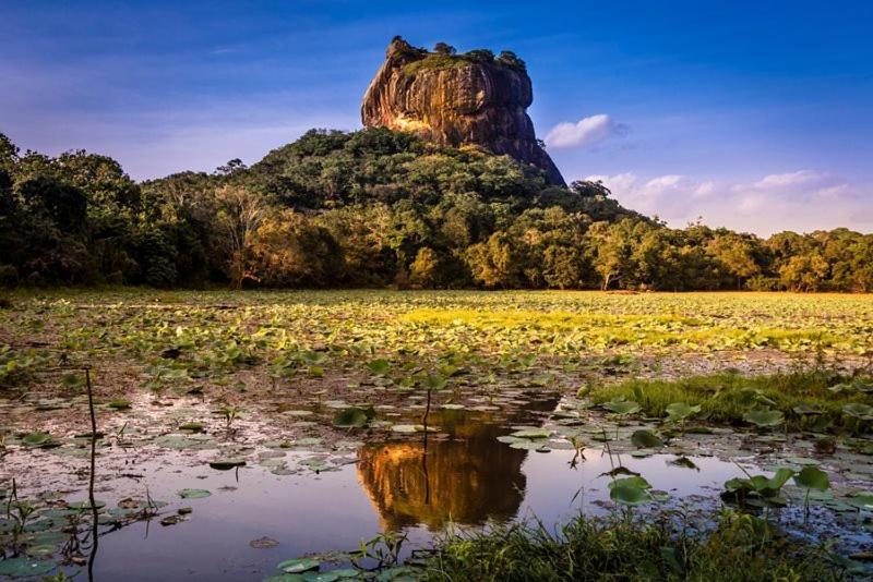 Thilina Homestay Sigiriya Esterno foto